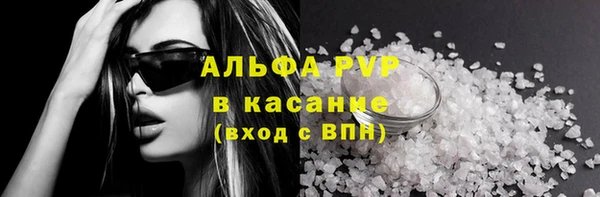 стаф Елабуга