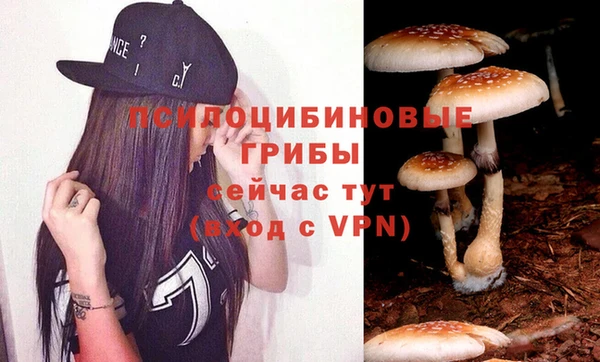стаф Елабуга