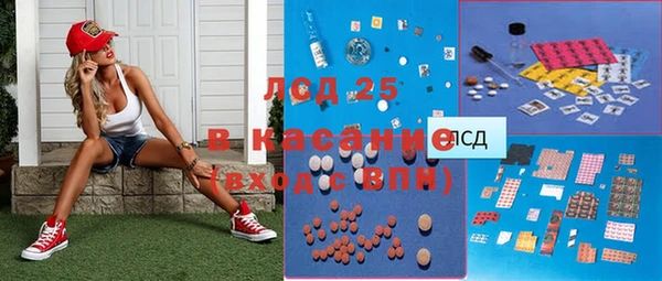 стаф Елабуга