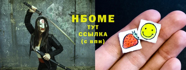 стаф Елабуга