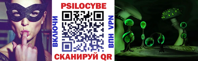 Купить где  Орск  Псилоцибиновые грибы GOLDEN TEACHER 